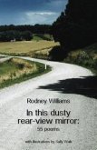 In this dusty rear-view mirror (eBook, ePUB)