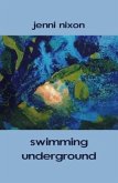 swimming underground (eBook, ePUB)