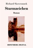 Sturmzeichen (eBook, ePUB)