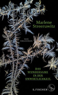 Das Wundersame in der Unwirtlichkeit. (eBook, ePUB) - Streeruwitz, Marlene