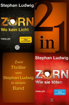 Wo kein Licht / Wie sie töten - Zwei Zorn-Thriller in einem Band (eBook, ePUB) - Ludwig, Stephan