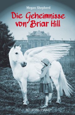 Die Geheimnisse von Briar Hill - Shepherd, Megan