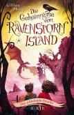 Der schlafende Drache / Die Geheimnisse von Ravenstorm Island Bd.5