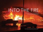 Into the Fire (eBook, ePUB)