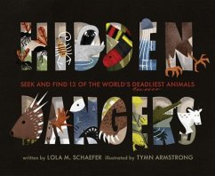 Hidden Dangers - Schaefer, Lola M