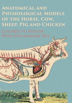 Anatomical and Physiological Models of the Horse, Cow, Sheep, Pig and Chicken - Colored to Nature - With Explanatory Key - Anon