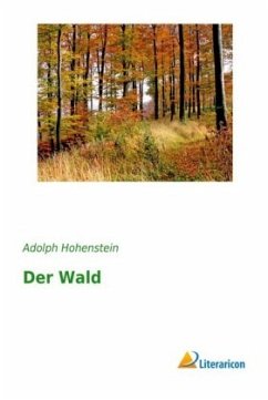 Der Wald - Hohenstein, Adolph