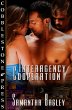 Interagency Cooperation (eBook, ePUB) - Bild 1
