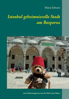 Istanbul geheimnisvolle Stadt am Bosporus (eBook, ePUB)
