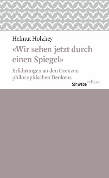 Wir sehen jetzt durch einen Spiegel (eBook, ePUB)