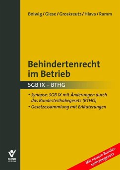 Behindertenrecht im Betrieb (eBook, ePUB) - Bolwig, Nils; Giese, Maren; Groskreutz, Henning; Hlava, Daniel; Ramm, Diana