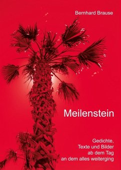 Meilenstein (eBook, ePUB) - Brause, Bernhard