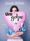 Um golpe de sorte (eBook, ePUB)