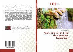 Analyse du rôle de l¿Etat dans le secteur hydraulique - Adamou, Hannatou