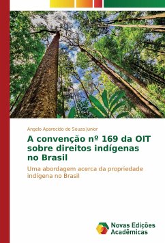 A convenção nº 169 da OIT sobre direitos indígenas no Brasil - Souza Junior, Angelo Aparecido de