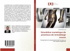 Simulation numérique du processus de remodelage osseux