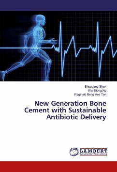New Generation Bone Cement with Sustainable Antibiotic Delivery