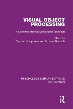 Cover Visual Object Processing (eBook, ePUB)