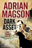 Dark Asset (eBook, ePUB)