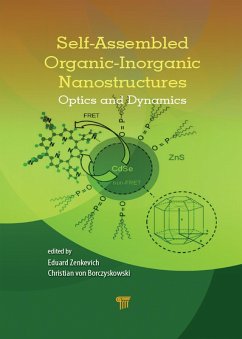 Cover Self-Assembled Organic-Inorganic Nanostructures (eBook, ePUB)