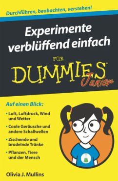 Experimente verblüffend einfach für Dummies Junior - Mullins, Olivia J.