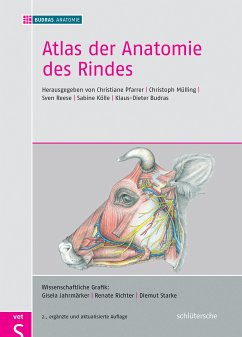 Atlas der Anatomie des Rindes (eBook, PDF)