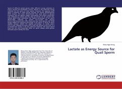Lactate as Energy Source for Quail Sperm