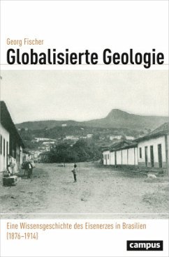 Globalisierte Geologie - Fischer, Georg