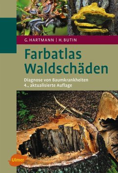 Farbatlas Waldschäden - Butin, Heinz;Hartmann, Günter