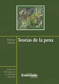 Teorías de la pena (eBook, ePUB)