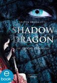 Die falsche Prinzessin / Shadow Dragon Bd.1 (eBook, ePUB)