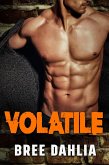 Volatile (eBook, ePUB)