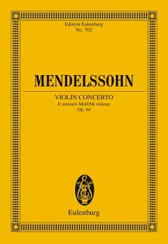 Violin Concerto E minor
