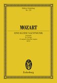 Eine kleine Nachtmusik (eBook, PDF)