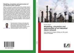 Modelling, simulation and optimization of an industrial steam network - Subiaco, Riccardo