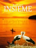 Insieme (eBook, ePUB)