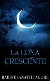 La luna crescente (eBook, ePUB)