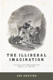 Illiberal Imagination