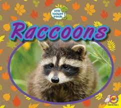 Raccoons - Kissock, Heather