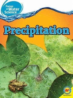 Precipitation - Purslow, Frances