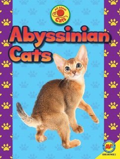 Abyssinian Cats - Gagne, Tammy