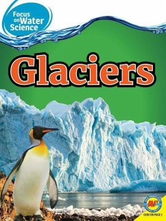 Glaciers - Webster, Christine