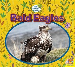 Bald Eagles - Kissock, Heather