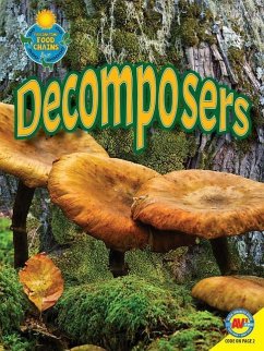 Decomposers - Lappi, Megan