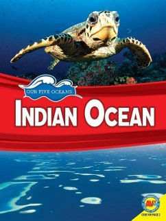 Indian Ocean - Friesen, Helen