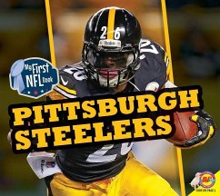 Pittsburgh Steelers - Cohn, Nate