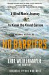 No Barriers - Bild 1