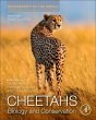 Cheetahs: Biology and Conservation - Bild 1
