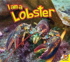 I Am a Lobster - Siemens, Jared
