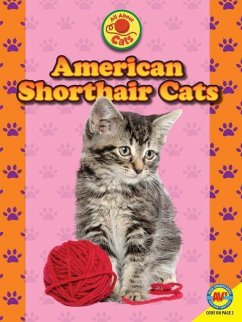 American Shorthair Cats - Furstinger, Nancy